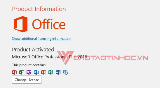 Microsoft Office Powerpoint 365 5