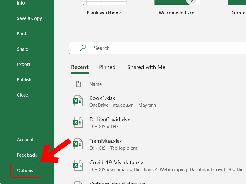 Mở tính năng Auto Fill trong Excel