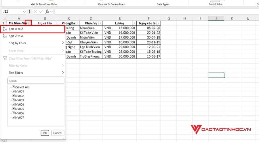 Nhấp vào mũi tên của cột đó để bật hộp thoại filter