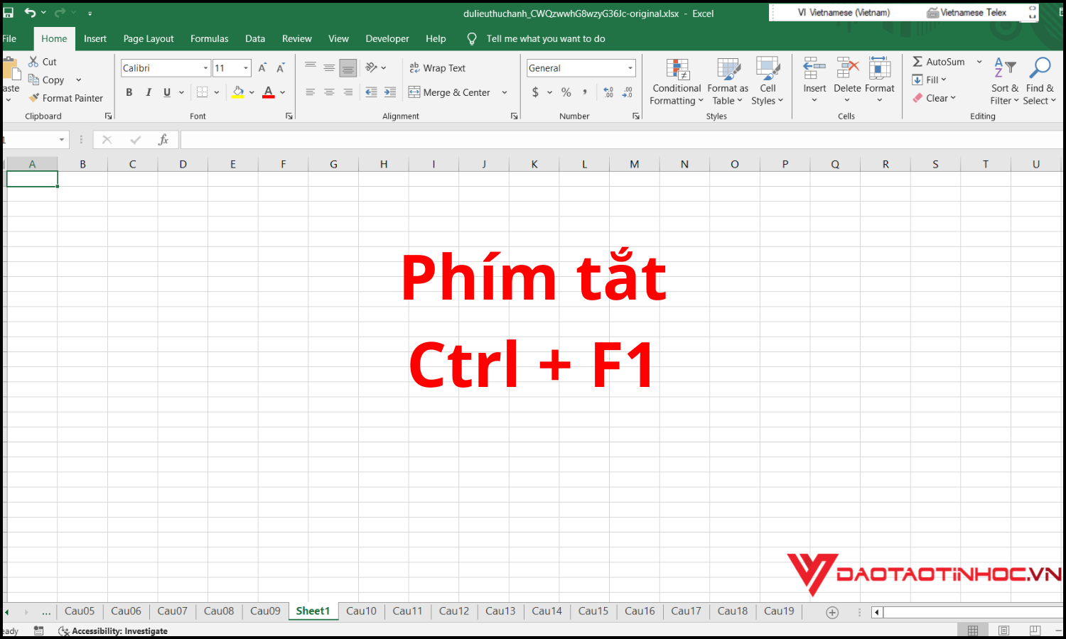 Dùng tổ hợp phím Ctrl + F1