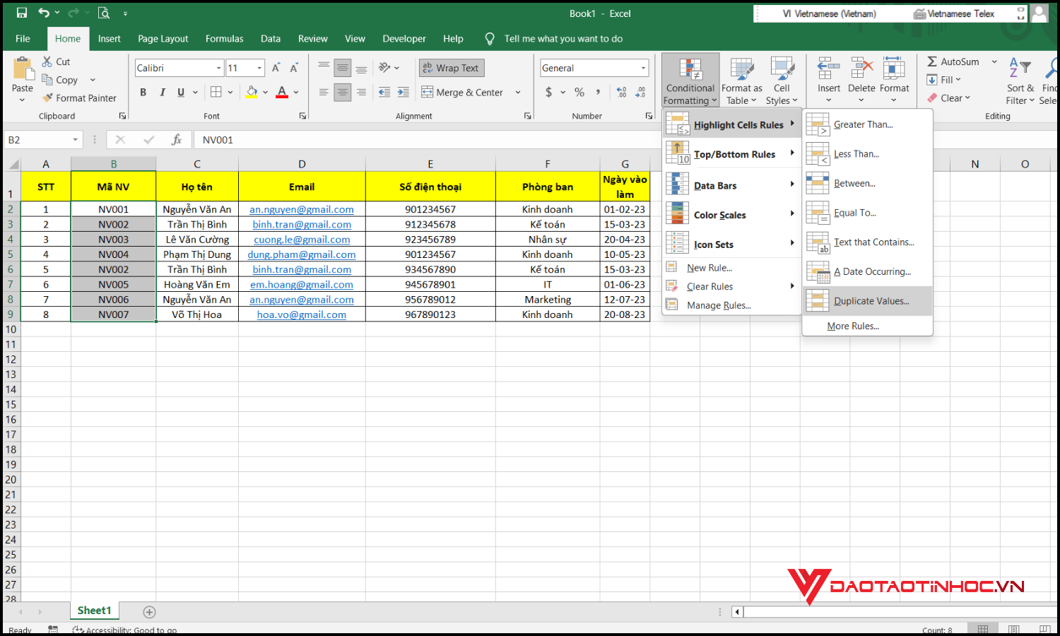 Cách báo trùng dữ liệu trong Excel bước 3
