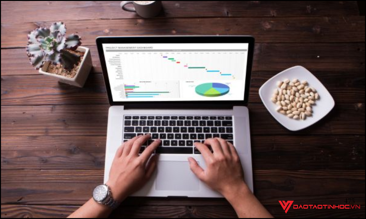 Nội dung thường có trong một khóa học báo cáo Excel chất lượng